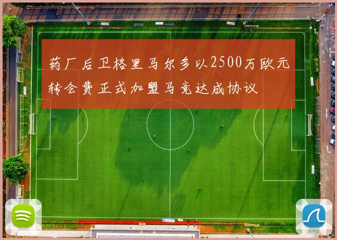 药厂后卫格里马尔多以2500万欧元转会费正式加盟马竞达成协议
